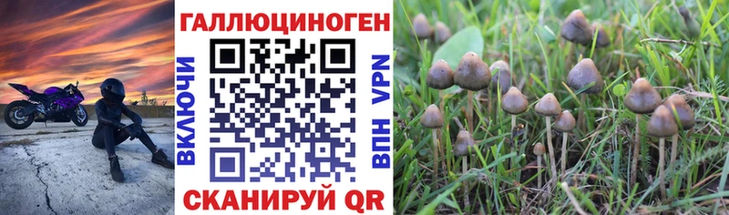 Купить  Бодайбо  Галлюциногенные грибы мицелий 